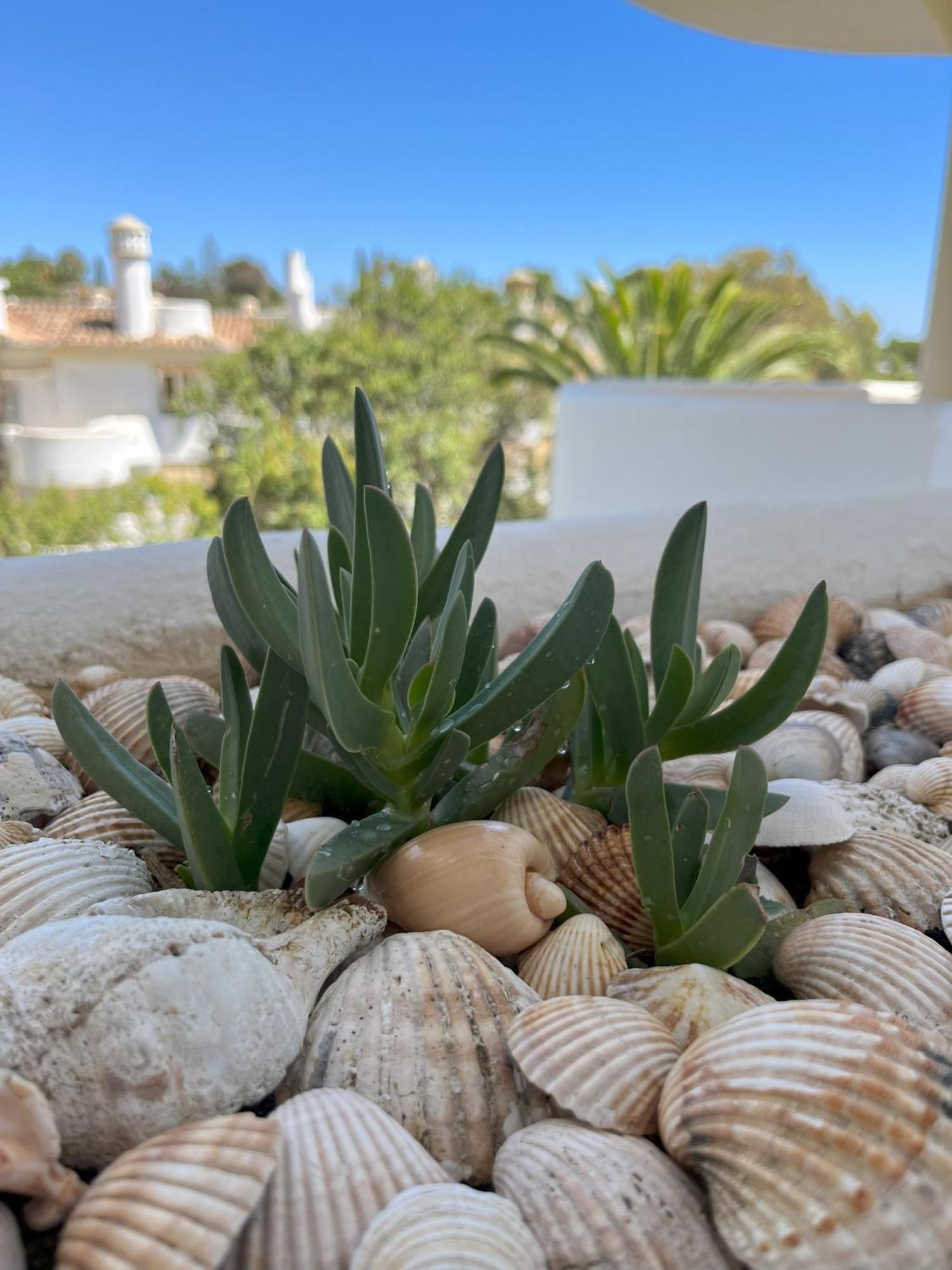 Casadeleon - Costadelsol Vacations & Remote Work Sitio de Calahonda Extérieur photo