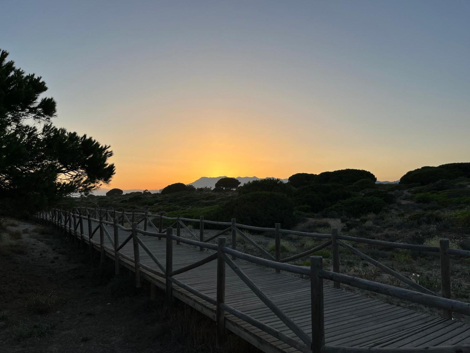 Casadeleon - Costadelsol Vacations & Remote Work Sitio de Calahonda Extérieur photo